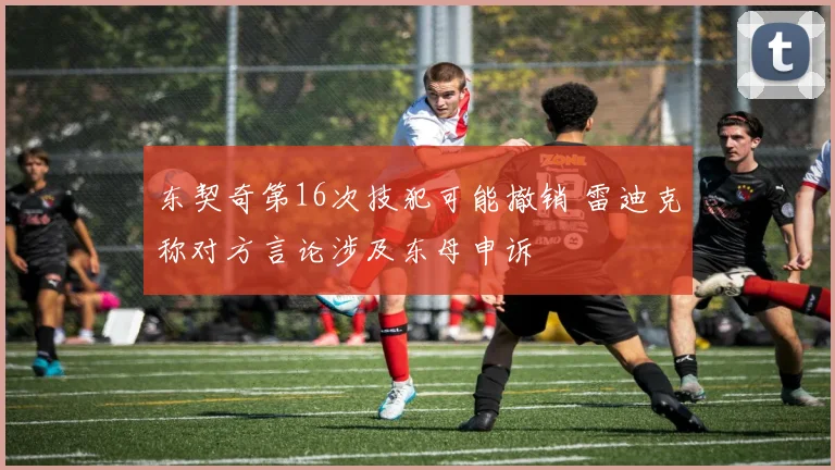 东契奇第16次技犯可能撤销 雷迪克称对方言论涉及东母申诉