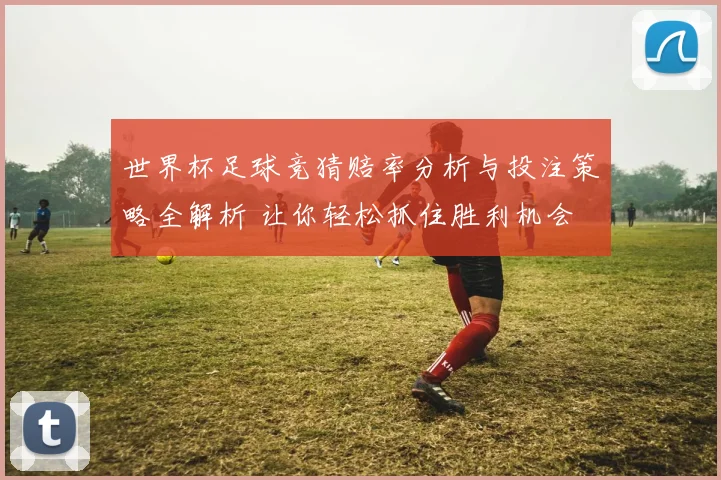 世界杯足球竞猜赔率分析与投注策略全解析 让你轻松抓住胜利机会