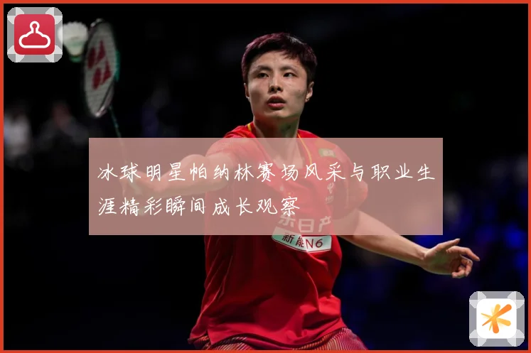冰球明星帕纳林赛场风采与职业生涯精彩瞬间成长观察