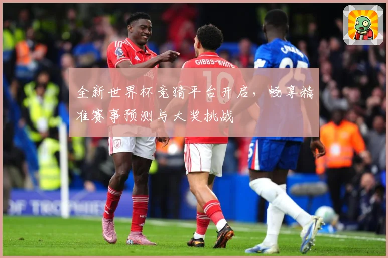 全新世界杯竞猜平台开启，畅享精准赛事预测与大奖挑战