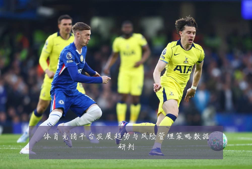 体育竞猜平台发展趋势与风险管理策略数据研判