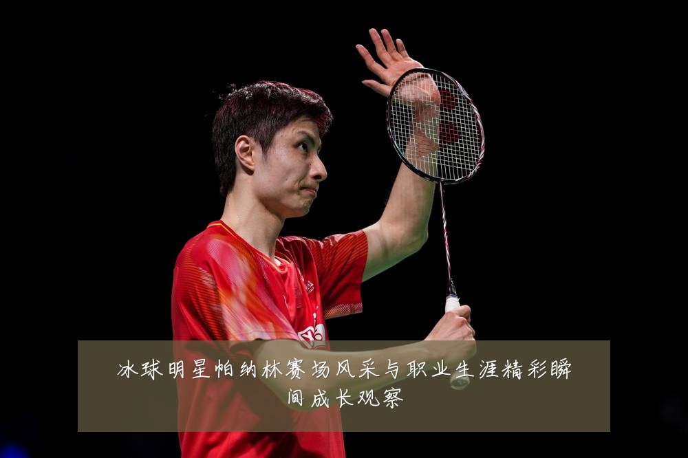 冰球明星帕纳林赛场风采与职业生涯精彩瞬间成长观察