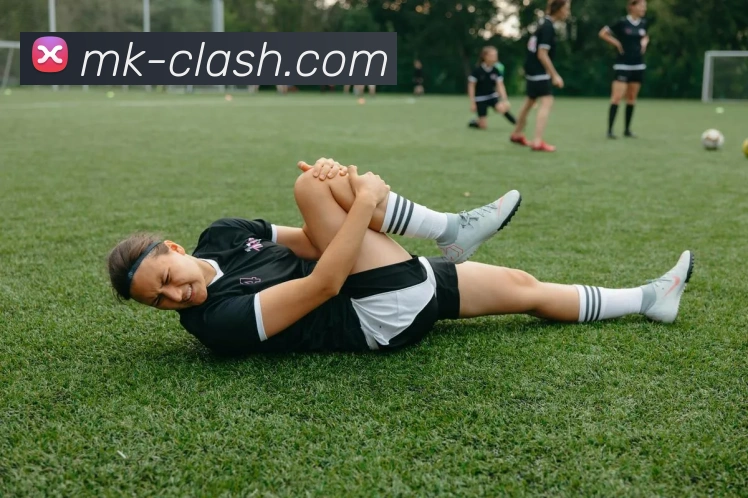 MK体育平台展示图